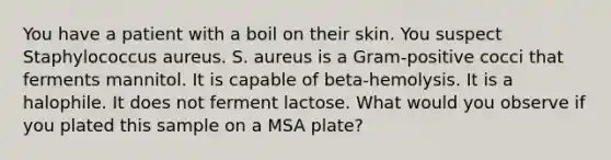 You have a patient with a boil on their skin. You suspect Staphylococcus aureus. S. aureus is a Gram-positive cocci that ferments mannitol. It is capable of beta-hemolysis. It is a halophile. It does not ferment lactose. What would you observe if you plated this sample on a MSA plate?