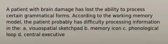 A patient with brain damage has lost the ability to process certain grammatical forms. According to the working memory model, the patient probably has difficulty processing information in the: a. visuospatial sketchpad b. memory icon c. phonological loop d. central executive