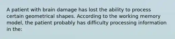 A patient with brain damage has lost the ability to process certain geometrical shapes. According to the working memory model, the patient probably has difficulty processing information in the: