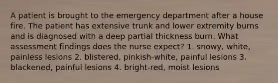 A patient is brought to the emergency department after a house fire. The patient has extensive trunk and lower extremity burns and is diagnosed with a deep partial thickness burn. What assessment findings does the nurse expect? 1. snowy, white, painless lesions 2. blistered, pinkish-white, painful lesions 3. blackened, painful lesions 4. bright-red, moist lesions