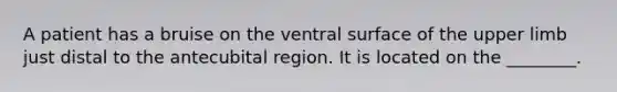 A patient has a bruise on the ventral surface of the upper limb just distal to the antecubital region. It is located on the ________.