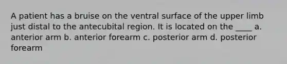 A patient has a bruise on the ventral surface of the upper limb just distal to the antecubital region. It is located on the ____ a. anterior arm b. anterior forearm c. posterior arm d. posterior forearm