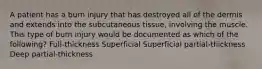 A patient has a burn injury that has destroyed all of the dermis and extends into the subcutaneous tissue, involving the muscle. This type of burn injury would be documented as which of the following? Full-thickness Superficial Superficial partial-thickness Deep partial-thickness