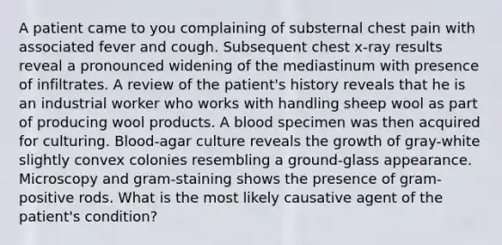 A patient came to you complaining of substernal chest pain with associated fever and cough. Subsequent chest x-ray results reveal a pronounced widening of the mediastinum with presence of infiltrates. A review of the patient's history reveals that he is an industrial worker who works with handling sheep wool as part of producing wool products. A blood specimen was then acquired for culturing. Blood-agar culture reveals the growth of gray-white slightly convex colonies resembling a ground-glass appearance. Microscopy and gram-staining shows the presence of gram-positive rods. What is the most likely causative agent of the patient's condition?