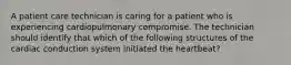 A patient care technician is caring for a patient who is experiencing cardiopulmonary compromise. The technician should identify that which of the following structures of the cardiac conduction system initiated the heartbeat?