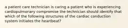 a patient care technician is caring a patient who is experiencing cardiopulmonary compromise the technician should identify that which of the following structures of the cardiac conduction system initiates the heartbeat?