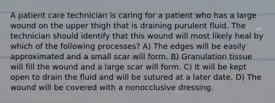 A patient care technician is caring for a patient who has a large wound on the upper thigh that is draining purulent fluid. The technician should identify that this wound will most likely heal by which of the following processes? A) The edges will be easily approximated and a small scar will form. B) Granulation tissue will fill the wound and a large scar will form. C) It will be kept open to drain the fluid and will be sutured at a later date. D) The wound will be covered with a nonocclusive dressing.