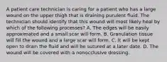 A patient care technician is caring for a patient who has a large wound on the upper thigh that is draining purulent fluid. The technician should identify that this wound will most likely heal by which of the following processes? A. The edges will be easily approximated and a small scar will form. B. Granulation tissue will fill the wound and a large scar will form. C. It will be kept open to drain the fluid and will be sutured at a later date. D. The wound will be covered with a nonocclusive dressing.