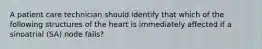 A patient care technician should identify that which of the following structures of the heart is immediately affected if a sinoatrial (SA) node fails?