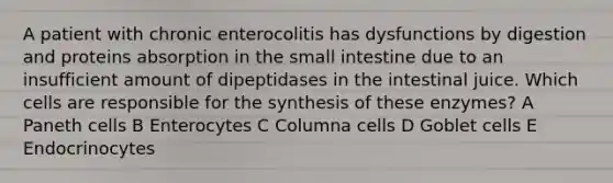 A patient with chronic enterocolitis has dysfunctions by digestion and proteins absorption in the small intestine due to an insufficient amount of dipeptidases in the intestinal juice. Which cells are responsible for the synthesis of these enzymes? A Paneth cells B Enterocytes C Columna cells D Goblet cells E Endocrinocytes