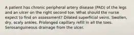 A patient has chronic peripheral artery disease (PAD) of the legs and an ulcer on the right second toe. What should the nurse expect to find on assessment? Dilated superficial veins. Swollen, dry, scaly ankles. Prolonged capillary refill in all the toes. Serosanguineous drainage from the ulcer.