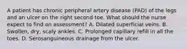 A patient has chronic peripheral artery disease (PAD) of the legs and an ulcer on the right second toe. What should the nurse expect to find on assessment? A. Dilated superficial veins. B. Swollen, dry, scaly ankles. C. Prolonged capillary refill in all the toes. D. Serosanguineous drainage from the ulcer.