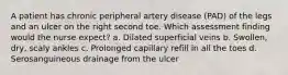 A patient has chronic peripheral artery disease (PAD) of the legs and an ulcer on the right second toe. Which assessment finding would the nurse expect? a. Dilated superficial veins b. Swollen, dry, scaly ankles c. Prolonged capillary refill in all the toes d. Serosanguineous drainage from the ulcer