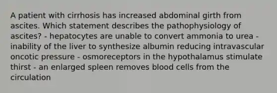 A patient with cirrhosis has increased abdominal girth from ascites. Which statement describes the pathophysiology of ascites? - hepatocytes are unable to convert ammonia to urea - inability of the liver to synthesize albumin reducing intravascular oncotic pressure - osmoreceptors in the hypothalamus stimulate thirst - an enlarged spleen removes blood cells from the circulation