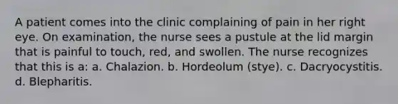 A patient comes into the clinic complaining of pain in her right eye. On examination, the nurse sees a pustule at the lid margin that is painful to touch, red, and swollen. The nurse recognizes that this is a: a. Chalazion. b. Hordeolum (stye). c. Dacryocystitis. d. Blepharitis.