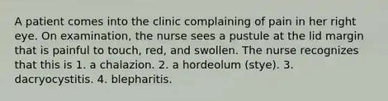 A patient comes into the clinic complaining of pain in her right eye. On examination, the nurse sees a pustule at the lid margin that is painful to touch, red, and swollen. The nurse recognizes that this is 1. a chalazion. 2. a hordeolum (stye). 3. dacryocystitis. 4. blepharitis.