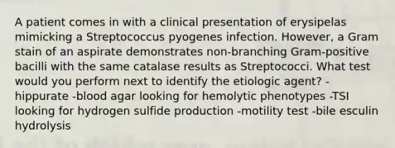 A patient comes in with a clinical presentation of erysipelas mimicking a Streptococcus pyogenes infection. However, a Gram stain of an aspirate demonstrates non-branching Gram-positive bacilli with the same catalase results as Streptococci. What test would you perform next to identify the etiologic agent? -hippurate -blood agar looking for hemolytic phenotypes -TSI looking for hydrogen sulfide production -motility test -bile esculin hydrolysis