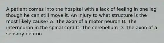 A patient comes into the hospital with a lack of feeling in one leg though he can still move it. An injury to what structure is the most likely cause? A. The axon of a motor neuron B. The interneuron in the spinal cord C. The cerebellum D. The axon of a sensory neuron