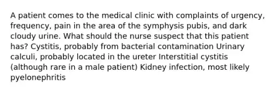 A patient comes to the medical clinic with complaints of urgency, frequency, pain in the area of the symphysis pubis, and dark cloudy urine. What should the nurse suspect that this patient has? Cystitis, probably from bacterial contamination Urinary calculi, probably located in the ureter Interstitial cystitis (although rare in a male patient) Kidney infection, most likely pyelonephritis