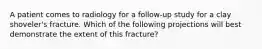 A patient comes to radiology for a follow-up study for a clay shoveler's fracture. Which of the following projections will best demonstrate the extent of this fracture?