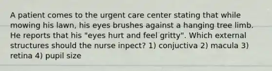 A patient comes to the urgent care center stating that while mowing his lawn, his eyes brushes against a hanging tree limb. He reports that his "eyes hurt and feel gritty". Which external structures should the nurse inpect? 1) conjuctiva 2) macula 3) retina 4) pupil size