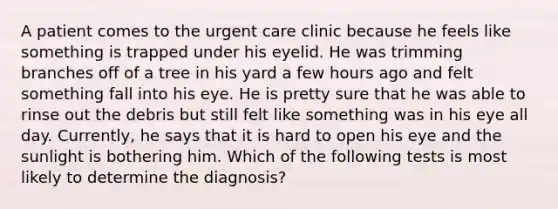 A patient comes to the urgent care clinic because he feels like something is trapped under his eyelid. He was trimming branches off of a tree in his yard a few hours ago and felt something fall into his eye. He is pretty sure that he was able to rinse out the debris but still felt like something was in his eye all day. Currently, he says that it is hard to open his eye and the sunlight is bothering him. Which of the following tests is most likely to determine the diagnosis?