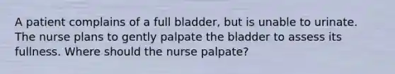 A patient complains of a full bladder, but is unable to urinate. The nurse plans to gently palpate the bladder to assess its fullness. Where should the nurse palpate?