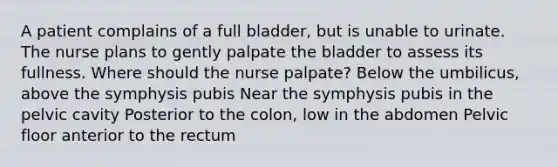 A patient complains of a full bladder, but is unable to urinate. The nurse plans to gently palpate the bladder to assess its fullness. Where should the nurse palpate? Below the umbilicus, above the symphysis pubis Near the symphysis pubis in the pelvic cavity Posterior to the colon, low in the abdomen Pelvic floor anterior to the rectum