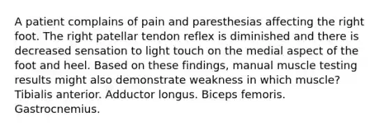 A patient complains of pain and paresthesias affecting the right foot. The right patellar tendon reflex is diminished and there is decreased sensation to light touch on the medial aspect of the foot and heel. Based on these findings, manual muscle testing results might also demonstrate weakness in which muscle? Tibialis anterior. Adductor longus. Biceps femoris. Gastrocnemius.