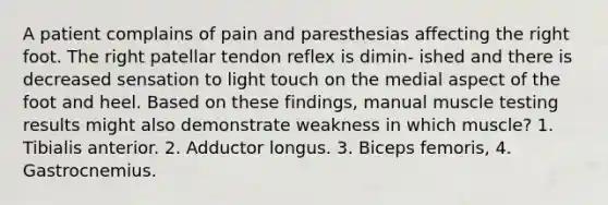 A patient complains of pain and paresthesias affecting the right foot. The right patellar tendon reflex is dimin- ished and there is decreased sensation to light touch on the medial aspect of the foot and heel. Based on these findings, manual muscle testing results might also demonstrate weakness in which muscle? 1. Tibialis anterior. 2. Adductor longus. 3. Biceps femoris, 4. Gastrocnemius.