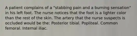 A patient complains of a "stabbing pain and a burning sensation" in his left foot. The nurse notices that the foot is a lighter color than the rest of the skin. The artery that the nurse suspects is occluded would be the: Posterior tibial. Popliteal. Common femoral. Internal iliac.