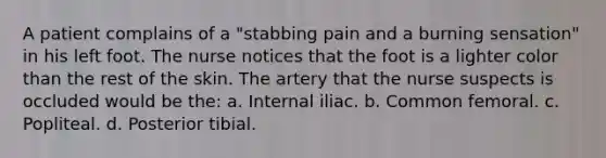 A patient complains of a "stabbing pain and a burning sensation" in his left foot. The nurse notices that the foot is a lighter color than the rest of the skin. The artery that the nurse suspects is occluded would be the: a. Internal iliac. b. Common femoral. c. Popliteal. d. Posterior tibial.