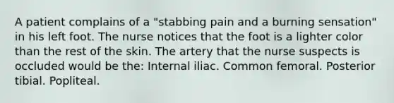 A patient complains of a "stabbing pain and a burning sensation" in his left foot. The nurse notices that the foot is a lighter color than the rest of the skin. The artery that the nurse suspects is occluded would be the: Internal iliac. Common femoral. Posterior tibial. Popliteal.