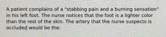 A patient complains of a "stabbing pain and a burning sensation" in his left foot. The nurse notices that the foot is a lighter color than the rest of the skin. The artery that the nurse suspects is occluded would be the: