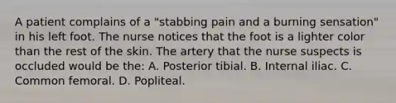 A patient complains of a "stabbing pain and a burning sensation" in his left foot. The nurse notices that the foot is a lighter color than the rest of the skin. The artery that the nurse suspects is occluded would be the: A. Posterior tibial. B. Internal iliac. C. Common femoral. D. Popliteal.