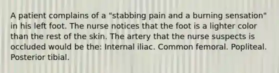 A patient complains of a "stabbing pain and a burning sensation" in his left foot. The nurse notices that the foot is a lighter color than the rest of the skin. The artery that the nurse suspects is occluded would be the: Internal iliac. Common femoral. Popliteal. Posterior tibial.