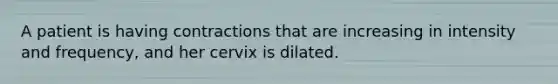 A patient is having contractions that are increasing in intensity and frequency, and her cervix is dilated.