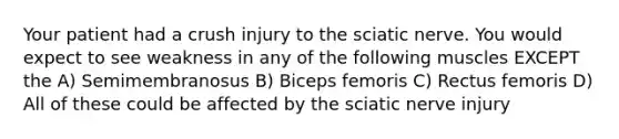 Your patient had a crush injury to the sciatic nerve. You would expect to see weakness in any of the following muscles EXCEPT the A) Semimembranosus B) Biceps femoris C) Rectus femoris D) All of these could be affected by the sciatic nerve injury