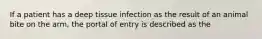 If a patient has a deep tissue infection as the result of an animal bite on the arm, the portal of entry is described as the