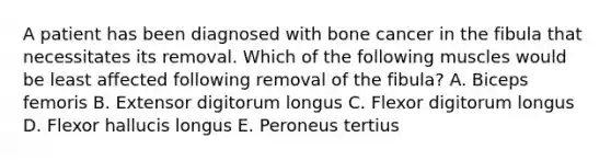 A patient has been diagnosed with bone cancer in the fibula that necessitates its removal. Which of the following muscles would be least affected following removal of the fibula? A. Biceps femoris B. Extensor digitorum longus C. Flexor digitorum longus D. Flexor hallucis longus E. Peroneus tertius