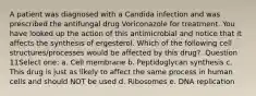 A patient was diagnosed with a Candida infection and was prescribed the antifungal drug Voriconazole for treatment. You have looked up the action of this antimicrobial and notice that it affects the synthesis of ergesterol. Which of the following cell structures/processes would be affected by this drug?. Question 11Select one: a. Cell membrane b. Peptidoglycan synthesis c. This drug is just as likely to affect the same process in human cells and should NOT be used d. Ribosomes e. DNA replication