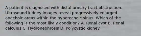 A patient is diagnosed with distal urinary tract obstruction. Ultrasound kidney images reveal progressively enlarged anechoic areas within the hyperechoic sinus. Which of the following is the most likely condition? A. Renal cyst B. Renal calculus C. Hydronephrosis D. Polycystic kidney