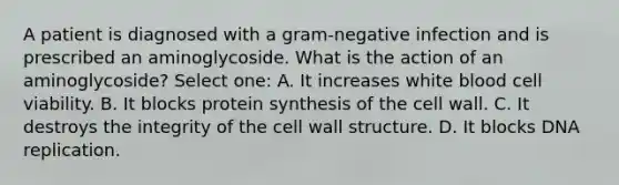 A patient is diagnosed with a gram-negative infection and is prescribed an aminoglycoside. What is the action of an aminoglycoside? Select one: A. It increases white blood cell viability. B. It blocks protein synthesis of the cell wall. C. It destroys the integrity of the cell wall structure. D. It blocks DNA replication.