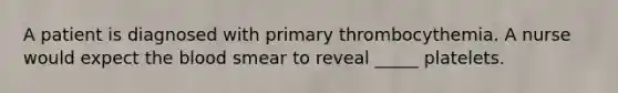 A patient is diagnosed with primary thrombocythemia. A nurse would expect the blood smear to reveal _____ platelets.