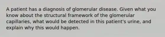 A patient has a diagnosis of glomerular disease. Given what you know about the structural framework of the glomerular capillaries, what would be detected in this patient's urine, and explain why this would happen.