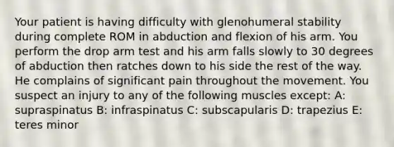 Your patient is having difficulty with glenohumeral stability during complete ROM in abduction and flexion of his arm. You perform the drop arm test and his arm falls slowly to 30 degrees of abduction then ratches down to his side the rest of the way. He complains of significant pain throughout the movement. You suspect an injury to any of the following muscles except: A: supraspinatus B: infraspinatus C: subscapularis D: trapezius E: teres minor