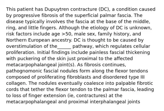 This patient has Dupuytren contracture (DC), a condition caused by progressive fibrosis of the superficial palmar fascia. The disease typically involves the fascia at the base of the middle, ring, and little fingers. Although the etiology of DC is unknown, risk factors include age >50, male sex, family history, and Northern European ancestry. DC is thought to be caused by overstimulation of the______ pathway, which regulates cellular proliferation. Initial findings include painless fascial thickening with puckering of the skin just proximal to the affected metacarpophalangeal joint(s). As fibrosis continues, pathognomonic fascial nodules form along the flexor tendons composed of proliferating fibroblasts and disordered type III collagen. The nodules eventually coalesce into palpable fibrotic cords that tether the flexor tendon to the palmar fascia, leading to loss of finger extension (ie, contractures) at the metacarpophalangeal and proximal interphalangeal joints