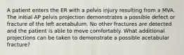 A patient enters the ER with a pelvis injury resulting from a MVA. The initial AP pelvis projection demonstrates a possible defect or fracture of the left acetabulum. No other fractures are detected and the patient is able to move comfortably. What additional projections can be taken to demonstrate a possible acetabular fracture?