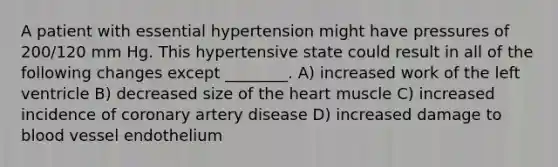 A patient with essential hypertension might have pressures of 200/120 mm Hg. This hypertensive state could result in all of the following changes except ________. A) increased work of the left ventricle B) decreased size of the heart muscle C) increased incidence of coronary artery disease D) increased damage to blood vessel endothelium