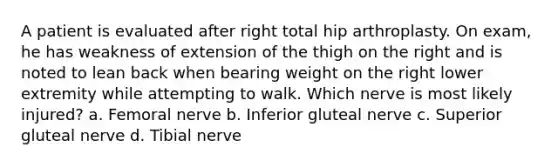 A patient is evaluated after right total hip arthroplasty. On exam, he has weakness of extension of the thigh on the right and is noted to lean back when bearing weight on the right lower extremity while attempting to walk. Which nerve is most likely injured? a. Femoral nerve b. Inferior gluteal nerve c. Superior gluteal nerve d. Tibial nerve